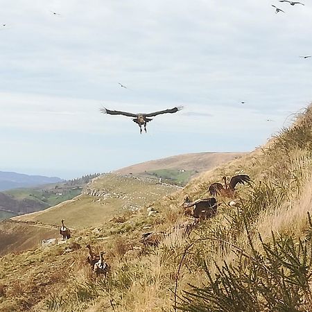 La Pasiega San Roque de Ríomiera المظهر الخارجي الصورة
