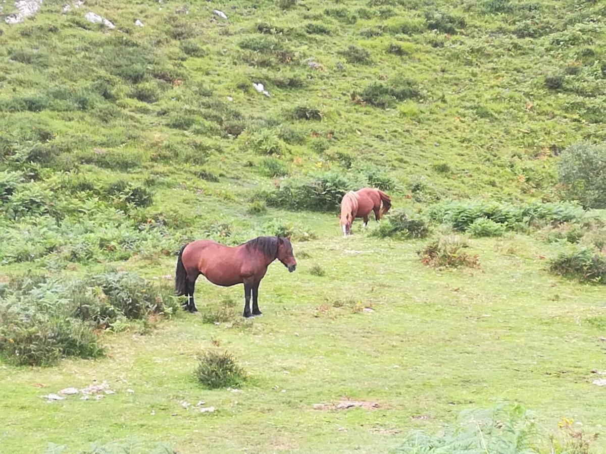 La Pasiega San Roque de Ríomiera المظهر الخارجي الصورة